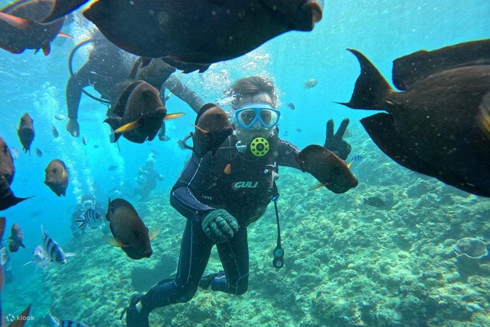 [Okinawa Japan] Onna Village Maeda Blue Cave Tour (Beach Entry: No Boat Ride)